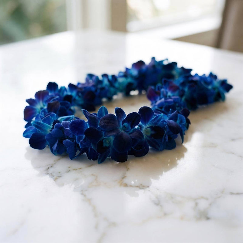 blue dendrobium orchids