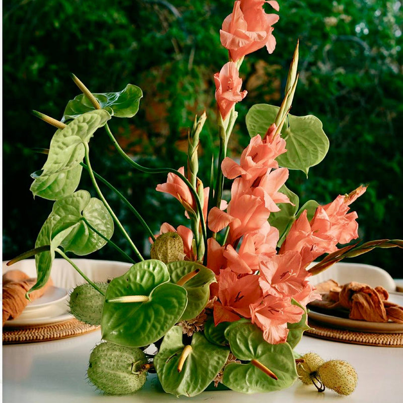 Coral gladiolus and green anthurium tropical centerpiece for events and dining by Pink Clover Flowers Los Angeles