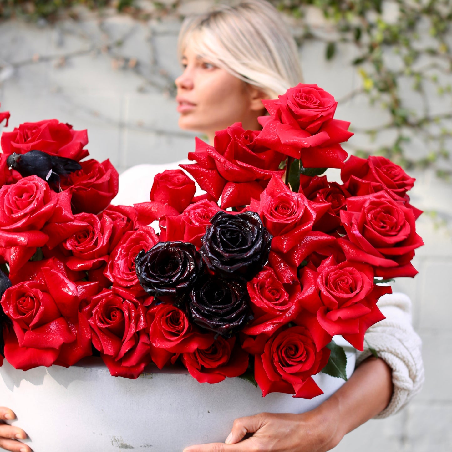 Amore - Ventura County