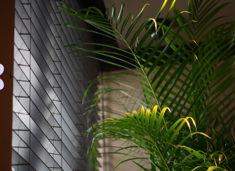 Corporate Floral Services for Offices in Los Angeles