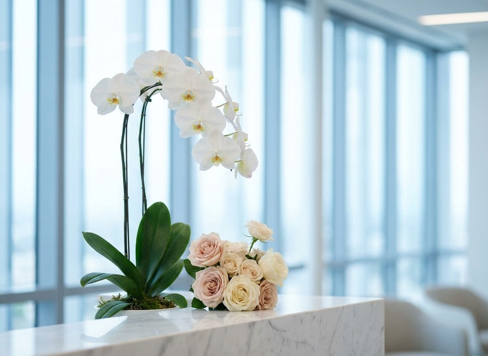 white orchid plant and a small white rose arrangement on a marble reception desk in a Los Angeles tech office