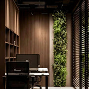 Office Living Green Wall - office plantscaping Los Angeles, Pink Clover