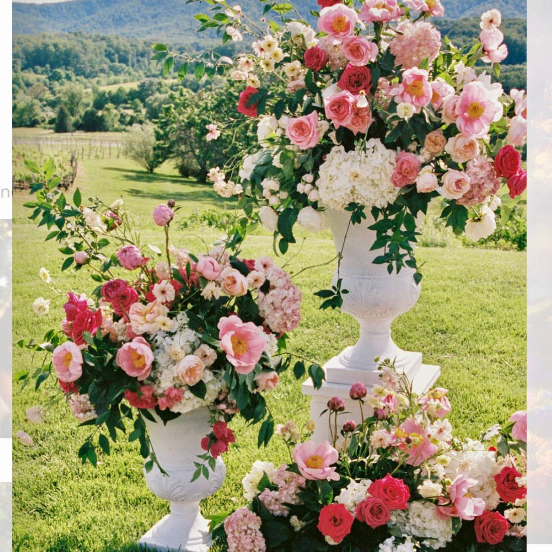 Pink Urns