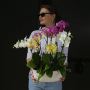 Tropical Symphony close-up detail - fresh floral arrangement from Pink Clover LA