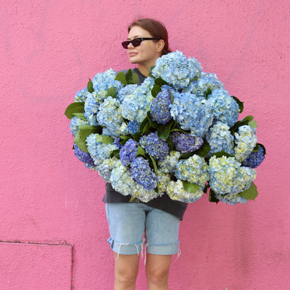 Sapphire Dreams floral arrangement from Pink Clover LA, styled with lush greenery and calming tones