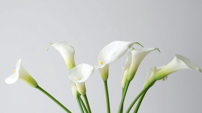 FUNERAL FLOWERS