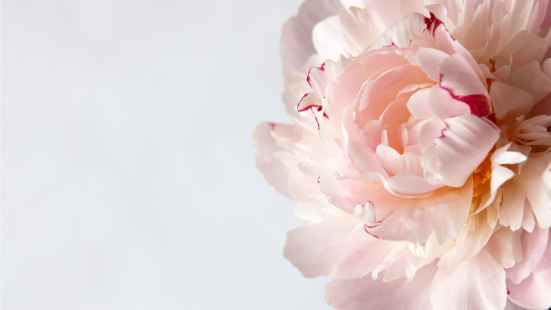 LUXURY FLOWERS
