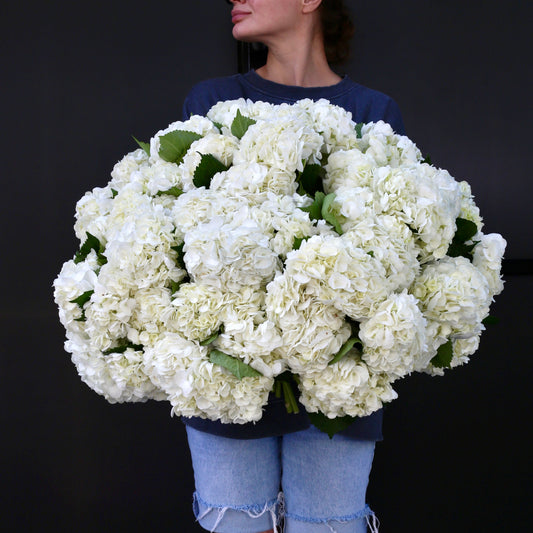 White Cloud white roses white spray roses same-day delivery Los Angeles
