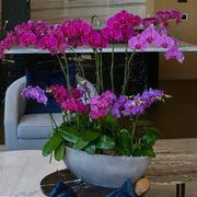 Pink and purple moonlit orchids arrangement in stone bowl - Pink Clover Los Angeles
