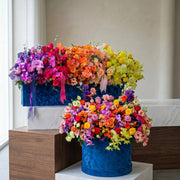 Rainbow Roses