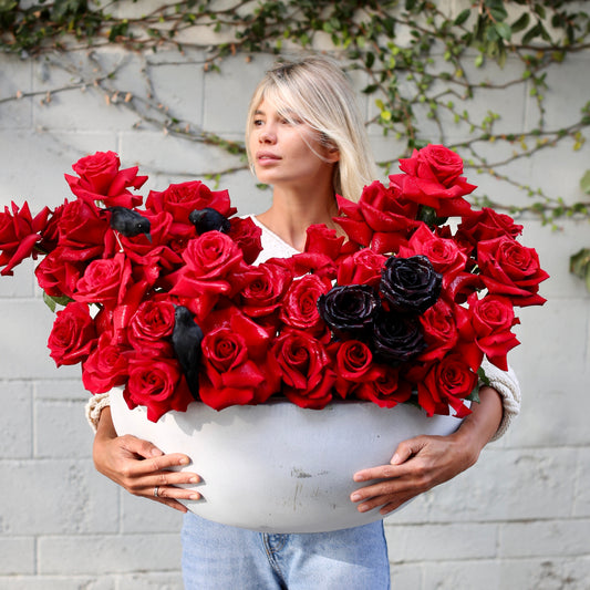 Amore - Ventura County