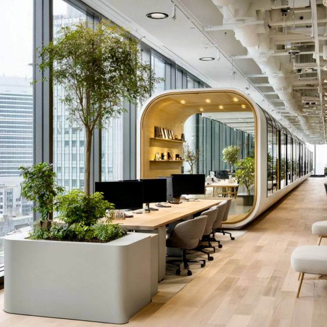 Window Planter & Office Tree - office plantscaping Los Angeles, Pink Clover