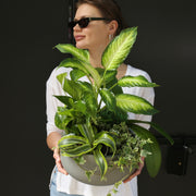 Plant Mix close-up detail - fresh plant from Pink Clover LA