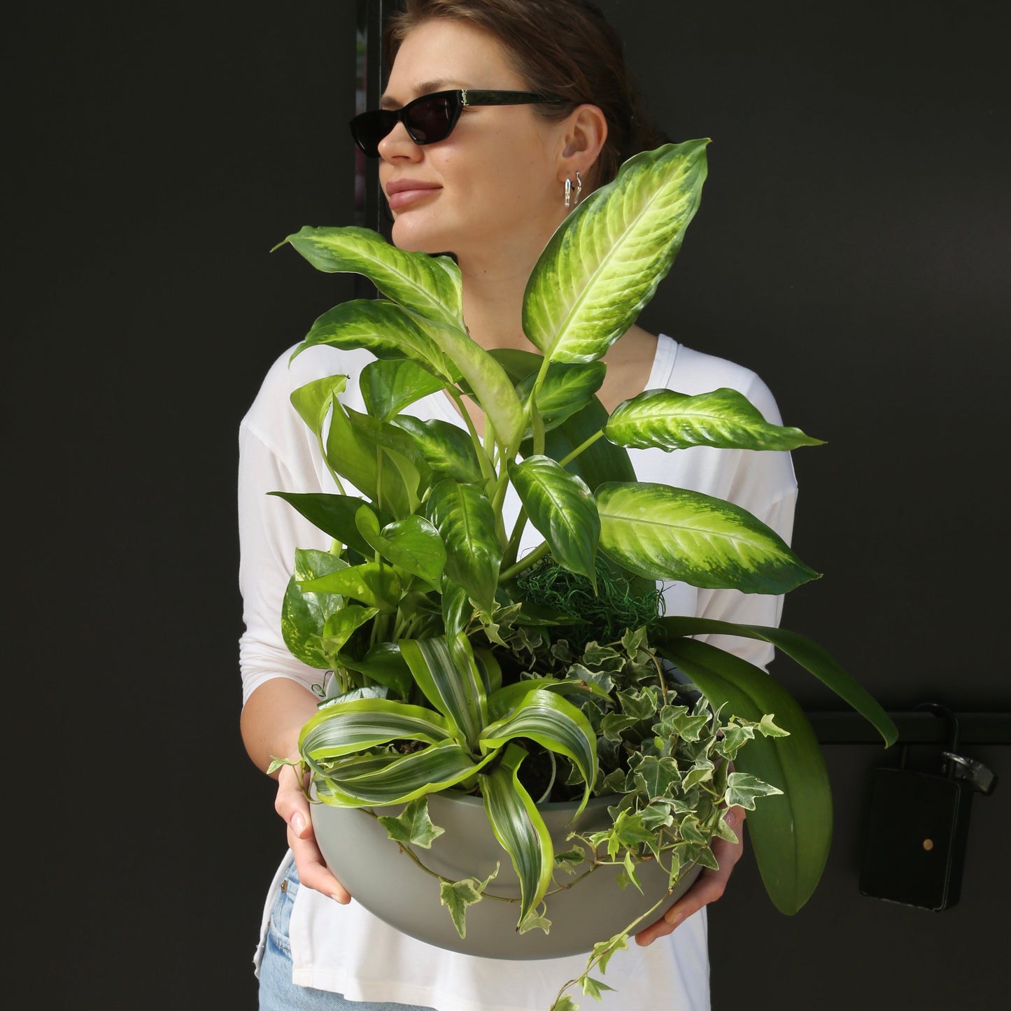 Plant Mix - Ventura County