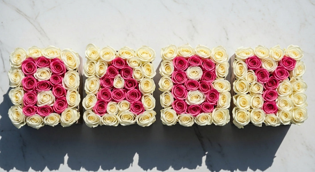 BABY rose box set - Pink Clover Los Angeles