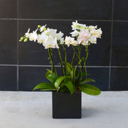 Lunar Petals arrangement styled in setting - luxury vase arrangement Los Angeles florist