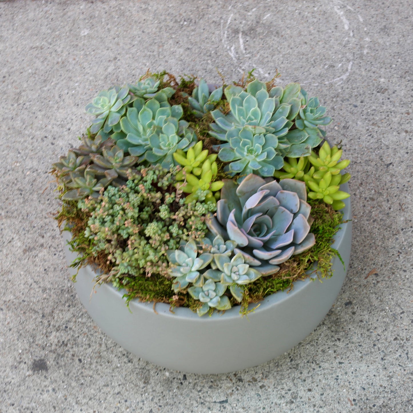 Green Garden - Ventura County