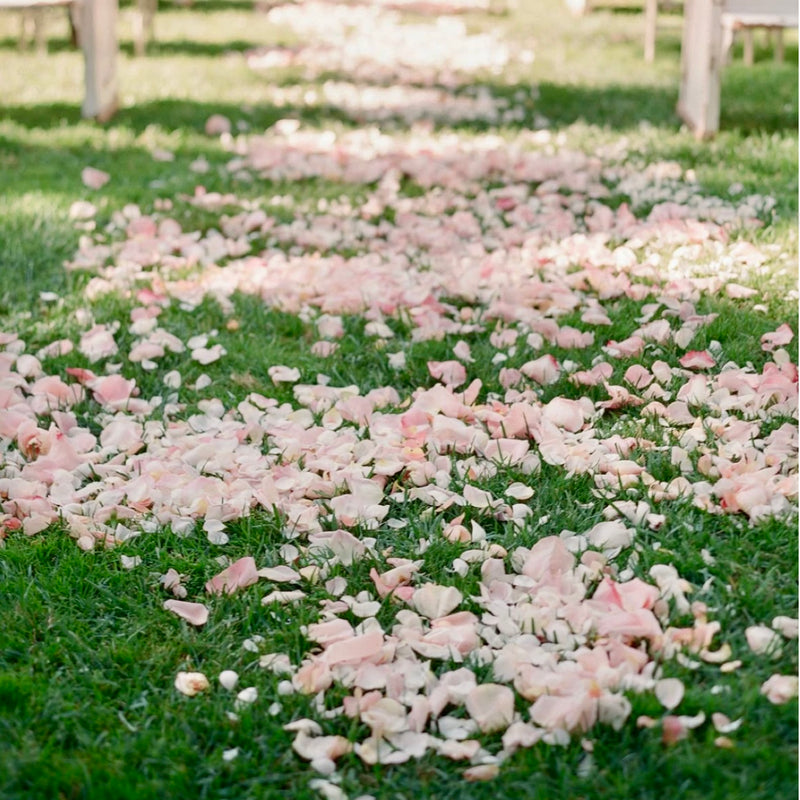 Pink rose petals scattered on a green grass pathway by Pink Clover, perfect for events, Los Angeles.