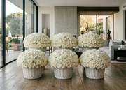 Pink Clover lush white roses in domed woven baskets, Los Angeles.
