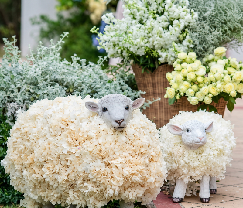 Flower Sheep