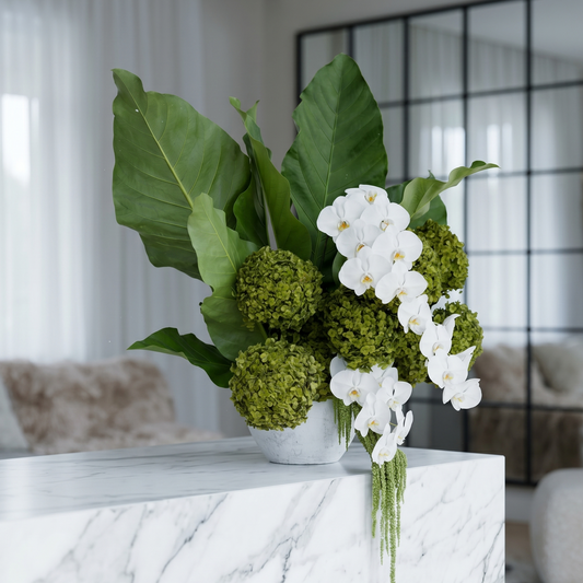 White Orchid Tropical