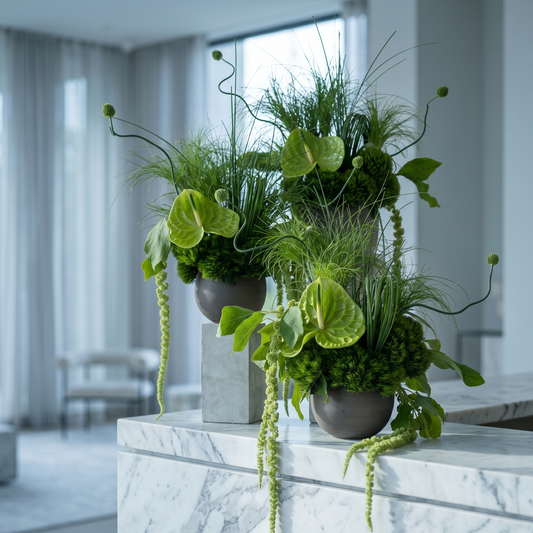 The Anthurium Trio