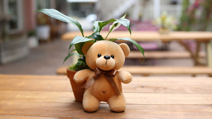 Teddy Bear Toy - Ventura County
