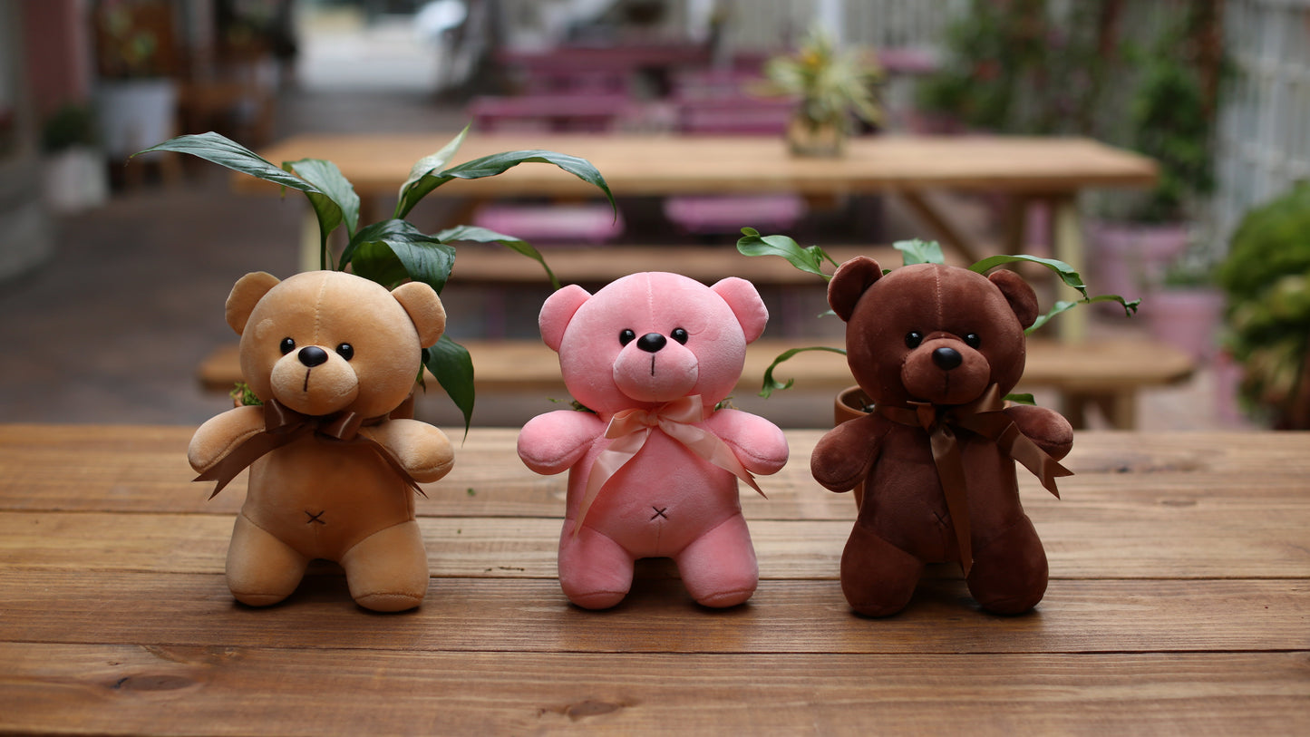 Teddy Bear Toy - Ventura County