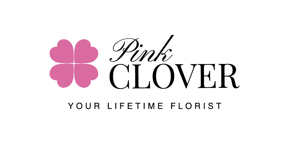 Pink Clover Flowers Hollywood