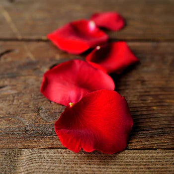 Rose Petals - Ventura County