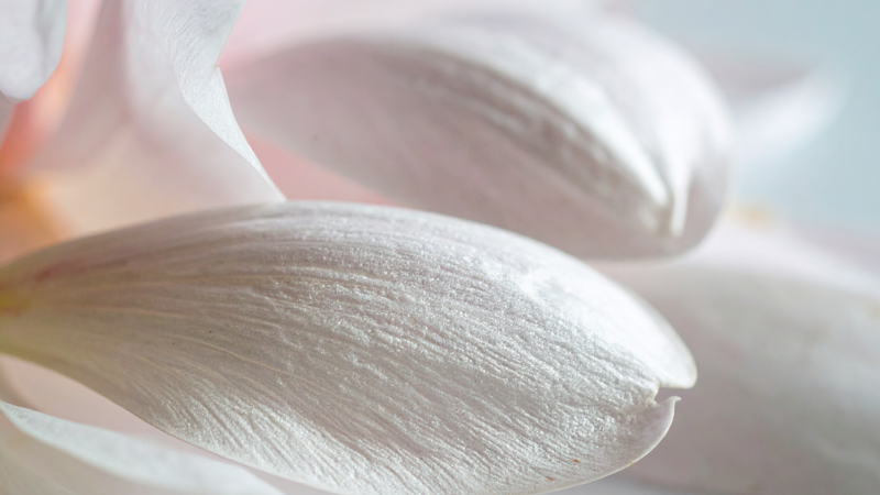 CORPORATE FLORAL SERVICES