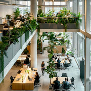 Multi-Level Office Garden - office plantscaping Los Angeles, Pink Clover