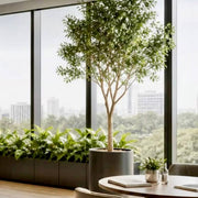 Floor Tree in Designer Planter - office plantscaping Los Angeles, Pink Clover
