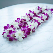 purple & white dendrobium orchids