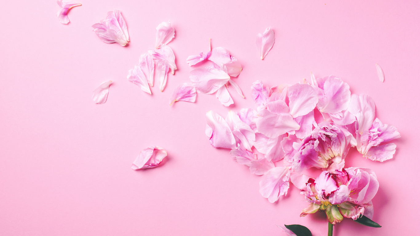 banner_fdd30685-12ed-4eee-b0a7-2ade25bc5031.png
