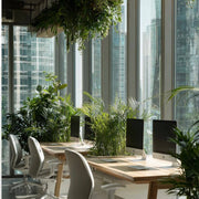 Desk Greenery by the Windows - office plantscaping Los Angeles, Pink Clover