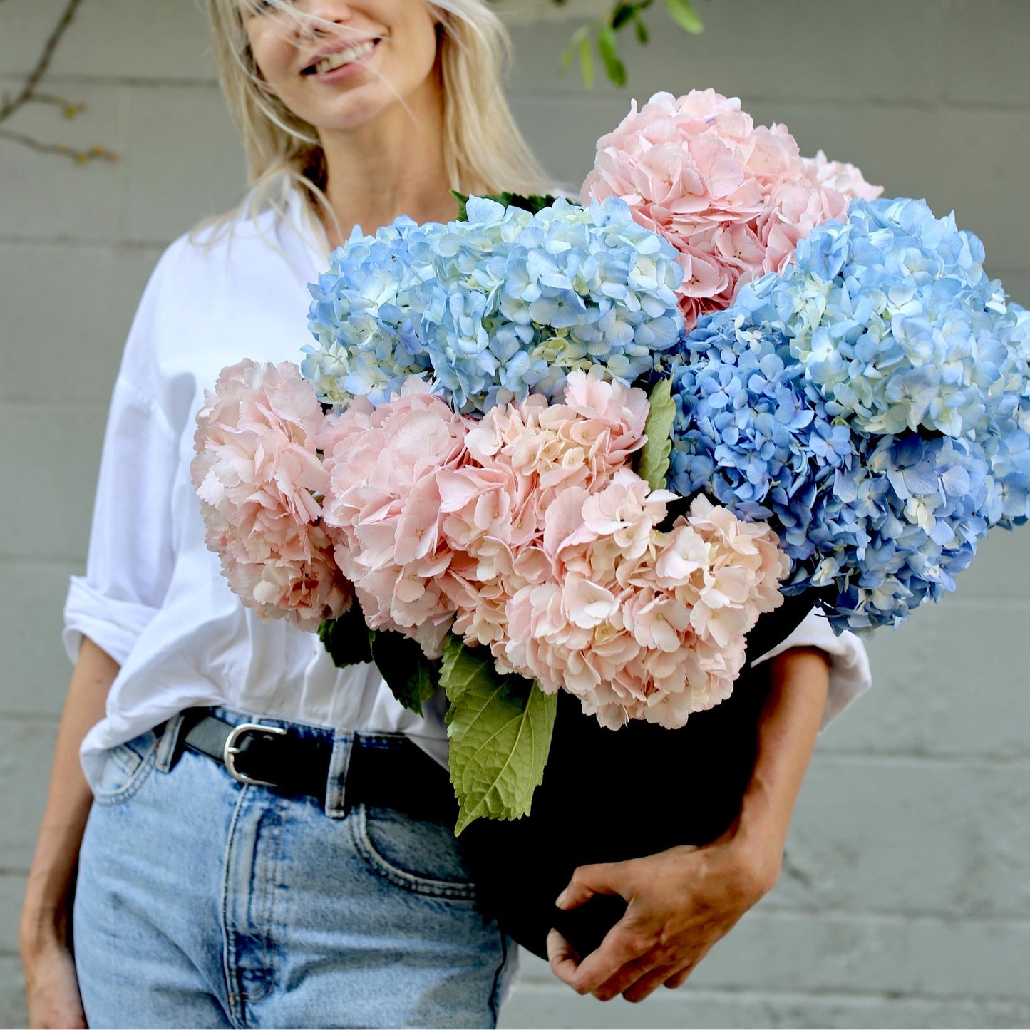 Hydrangea Mix - Ventura County