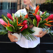 Vibrant exotic tropical flowers arrangement featuring birds of paradise and proteas in a modern black box