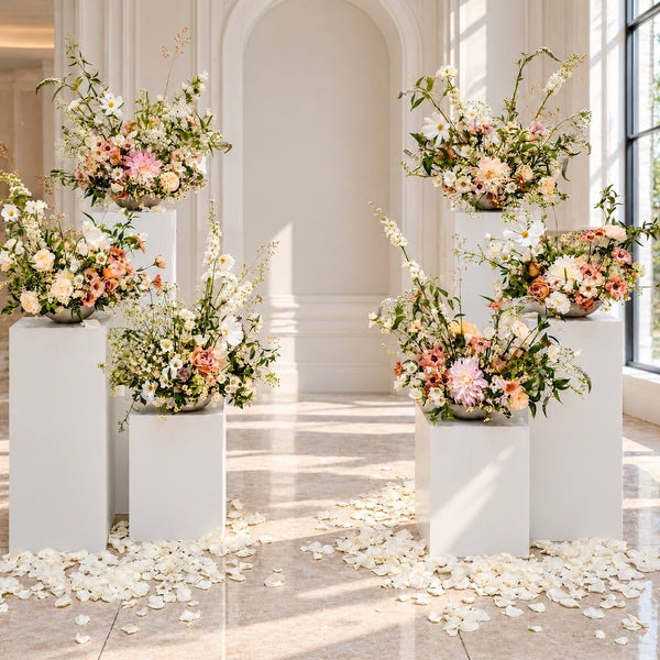 Pedestal Cluster