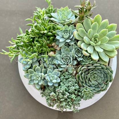 Green Garden - Ventura County
