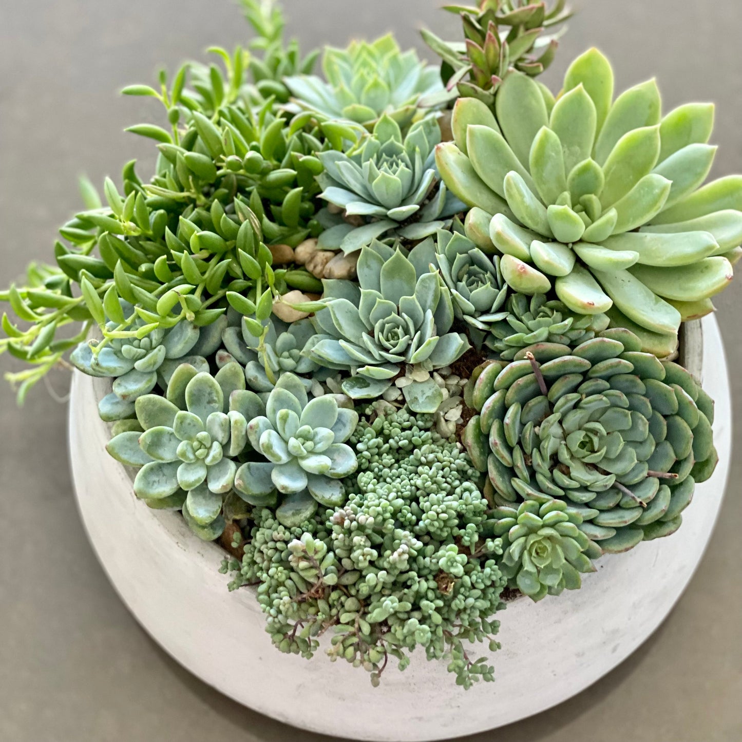 Green Garden - Ventura County