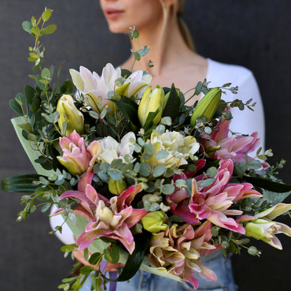 Lily - Ventura County