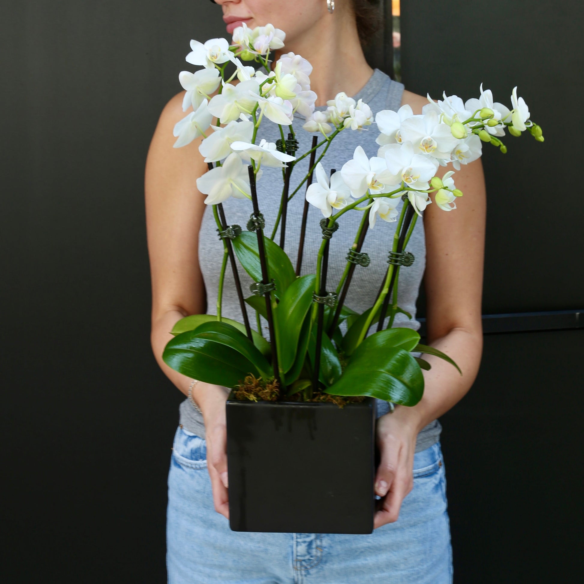 Lunar Petals phalaenopsis orchids orchid leaves same-day delivery Honolulu