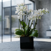 Lunar Petals - premium fresh vase arrangement same-day delivery Los Angeles