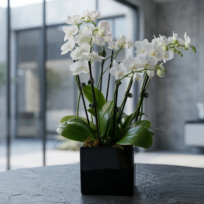 Lunar Petals - premium fresh vase arrangement same-day delivery Los Angeles