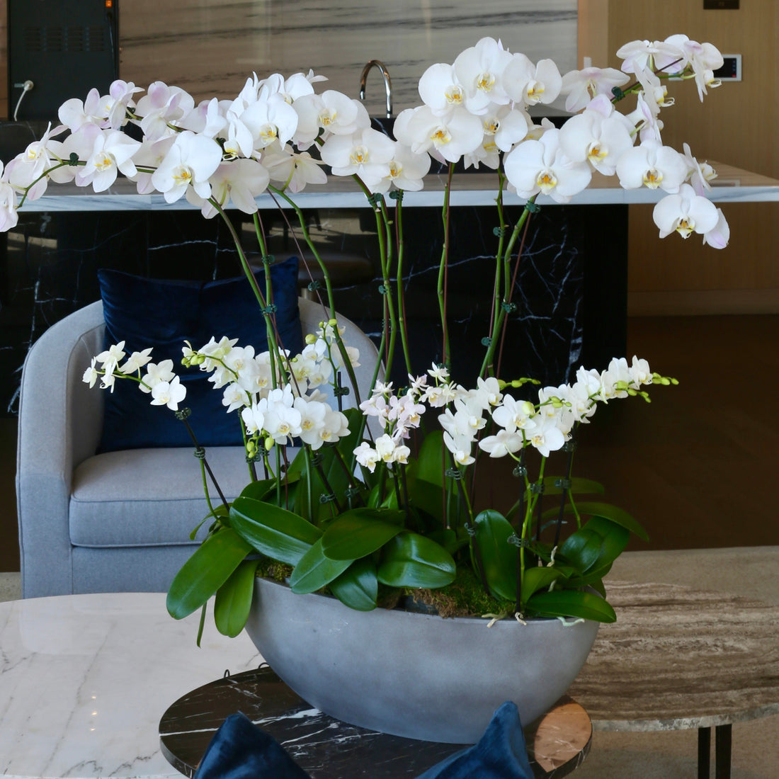 Moonlit Orchids orchids same-day delivery Honolulu