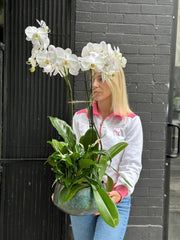 Orchid with plant white phalaenopsis orchids peace lily same-day delivery Honolulu