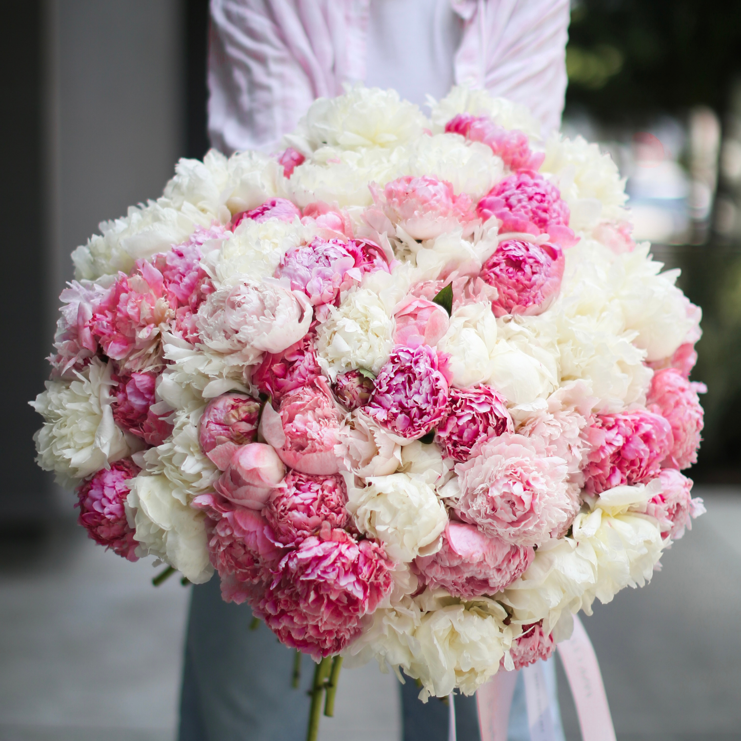 100 peonies - Ventura County