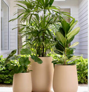 Patio Trio