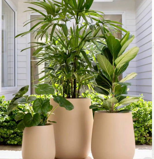 Patio Trio